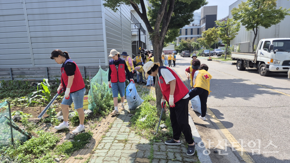 물금읍 6월 국토대청소ⓒ양산타임스