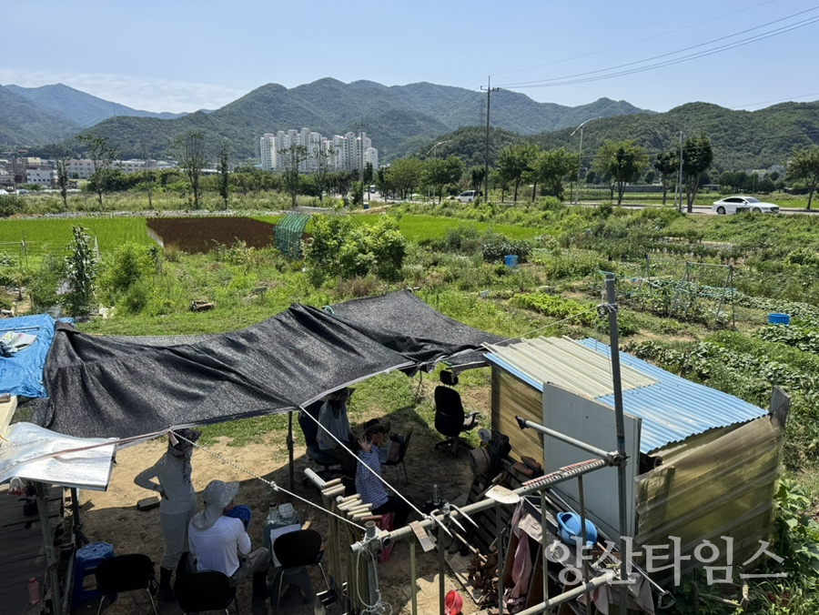 소주동 폭염대비 예찰활동ⓒ양산타임스