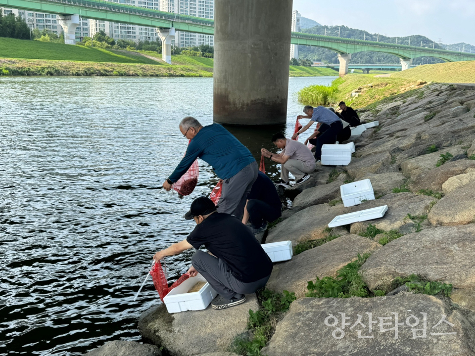 수산종자 동남참게 방류 행사ⓒ양산타임스
