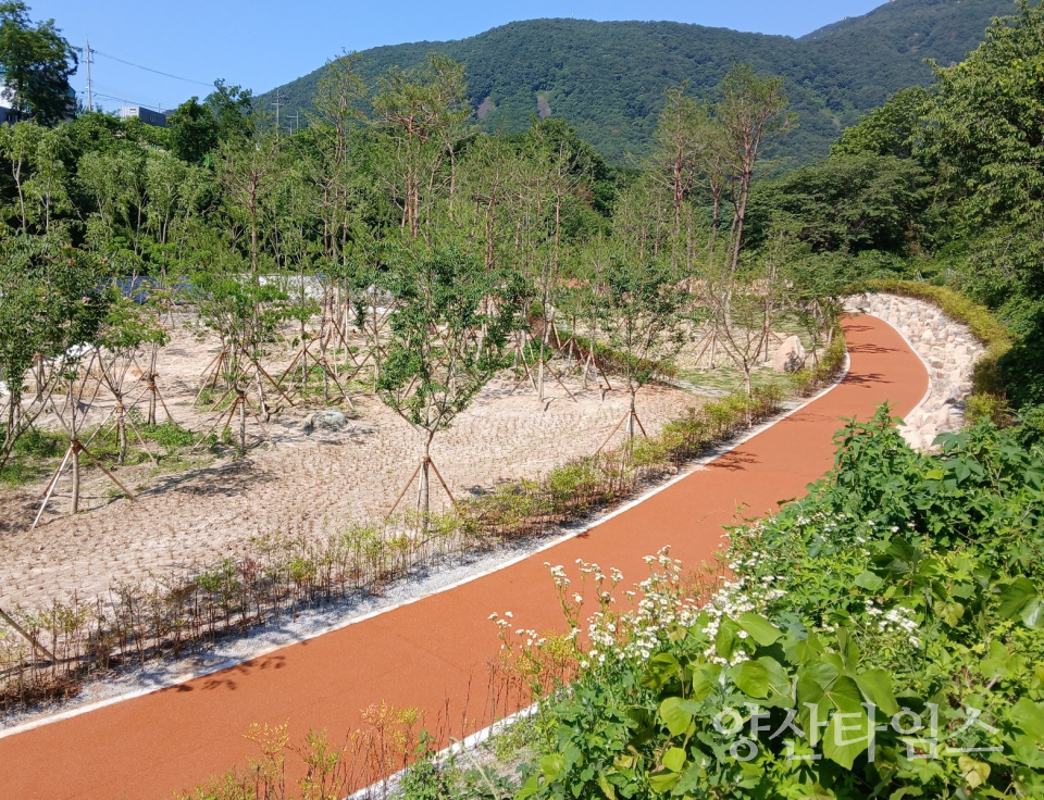 혈수천 생태하천 복원사업ⓒ양산타임스