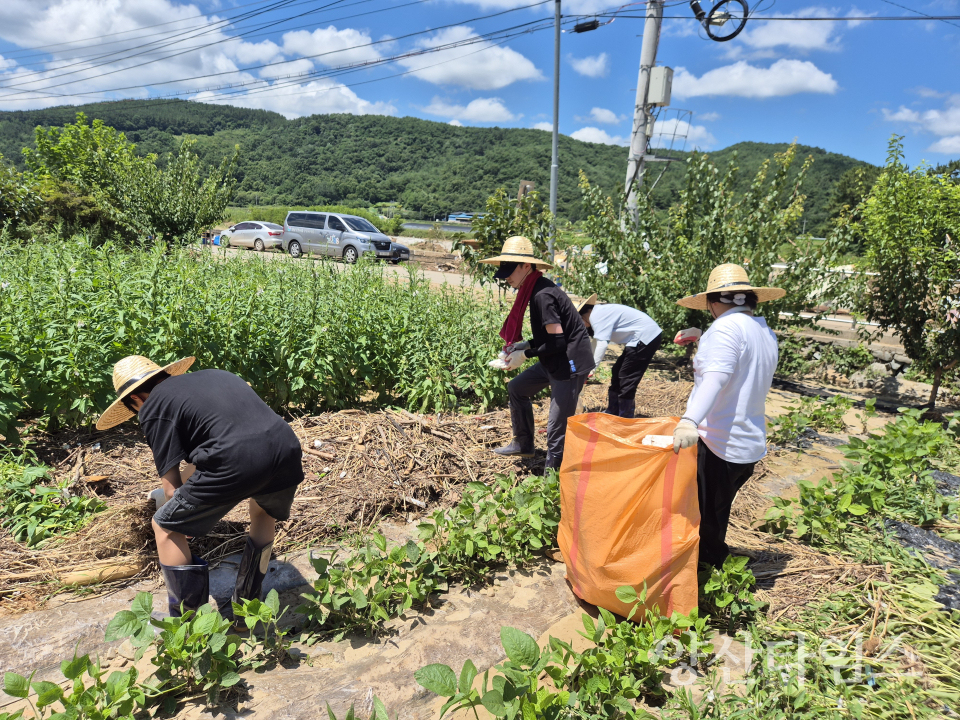 학교밖청소년 산청 자원봉사ⓒ양산타임스