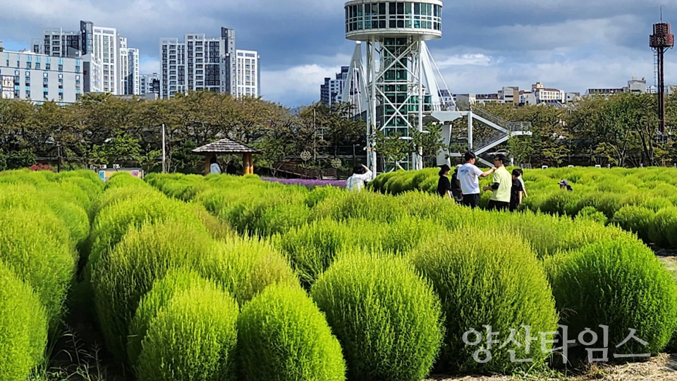 황산공원ⓒ양산타임스