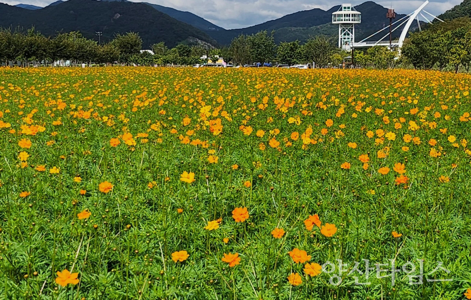황산공원ⓒ양산타임스
