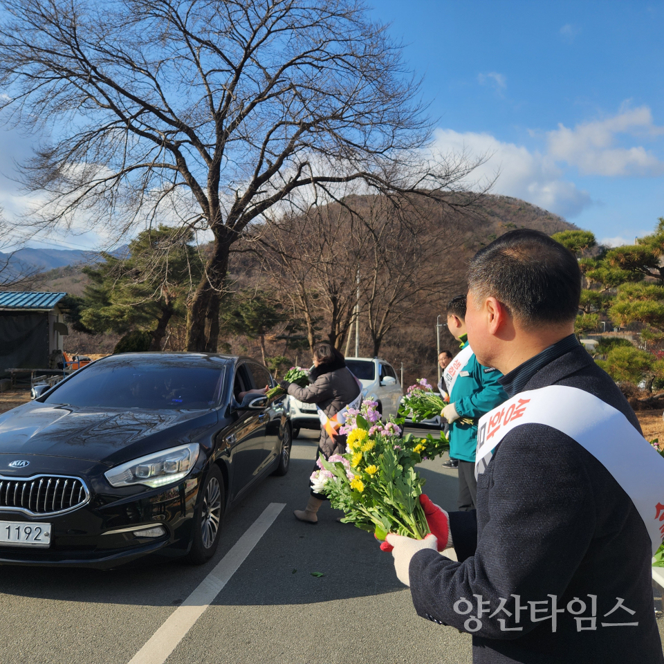 추석 공원묘원 생화 무료나눔ⓒ양산타임스