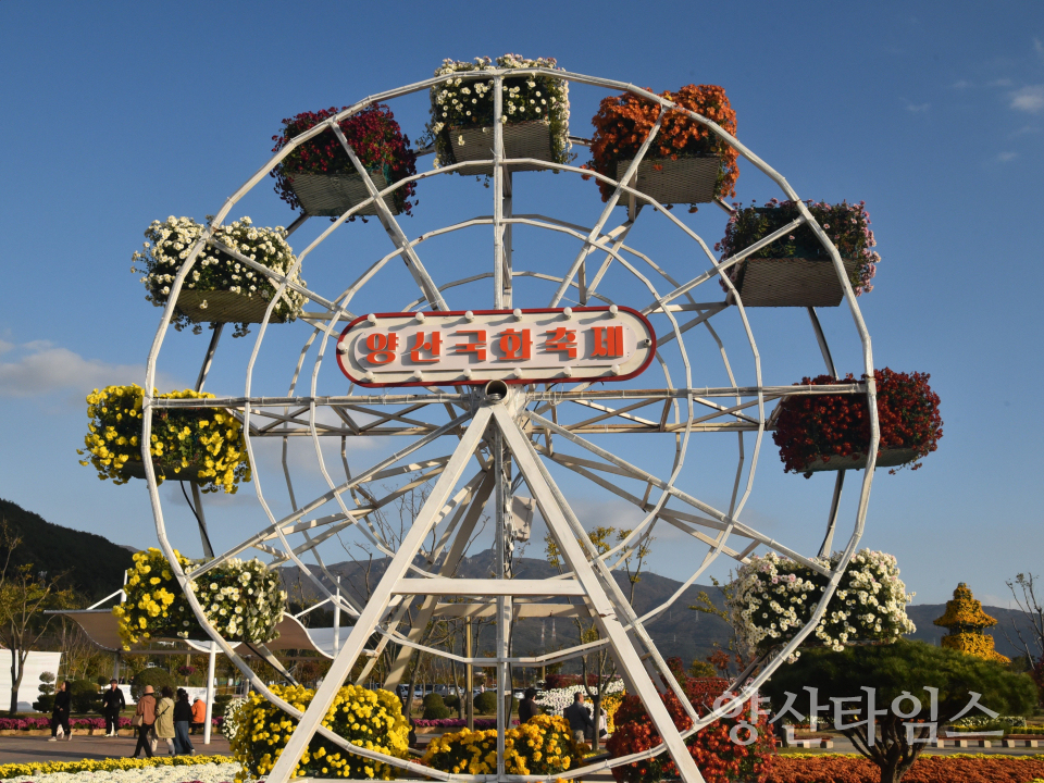 2025 양산 국화축제ⓒ양산타임스