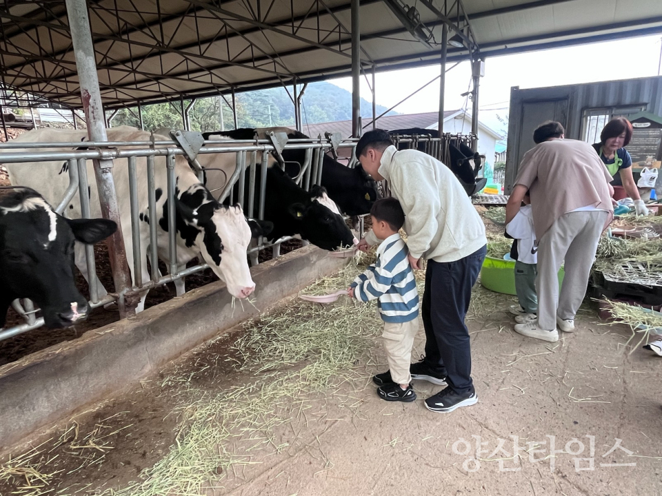양산시 아빠단 지역체험 프로그램ⓒ양산타임스