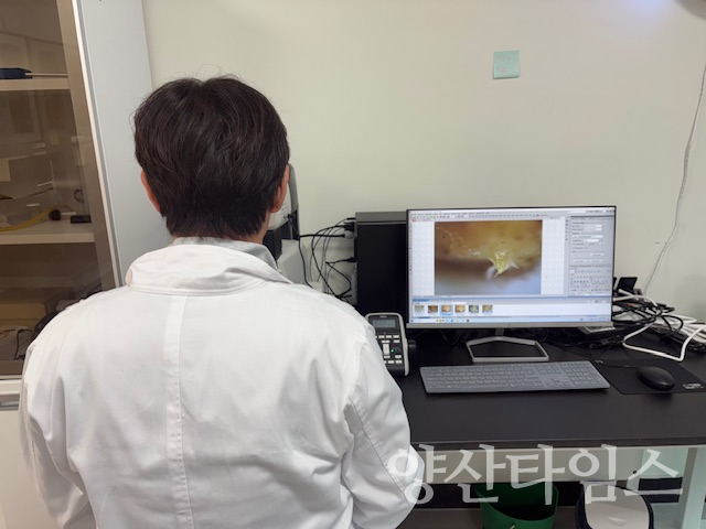 딸기 꽃눈분화 검경 결과지ⓒ양산타임스