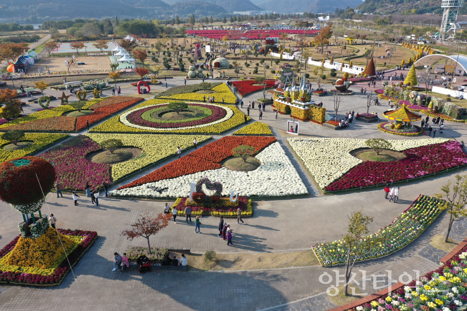 2025 양산국화축제(야간)ⓒ양산타임스