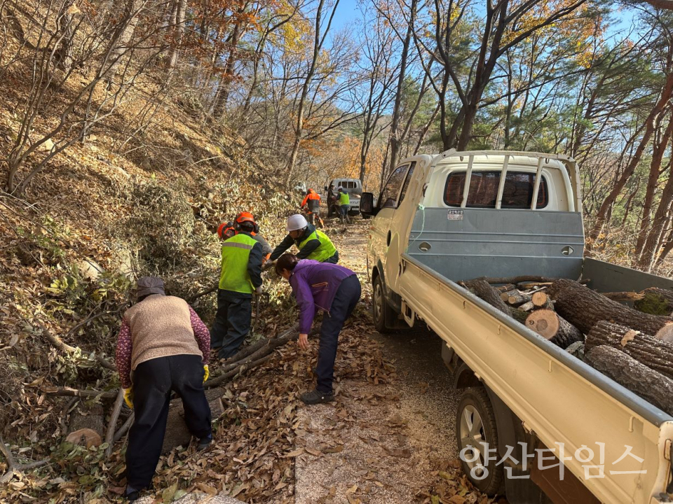 울주군, 숲가꾸기 사업 부산물 활용 취약계층 목재 지원ⓒ양산타임스