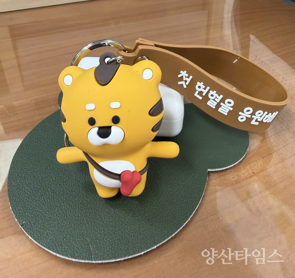 관광캐릭터 굿즈 호잇 키링ⓒ양산타임스