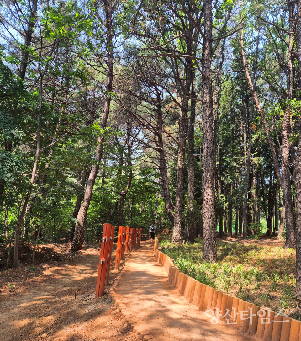 웅상체육공원 솔밭황톳길 진입로ⓒ양산타임스