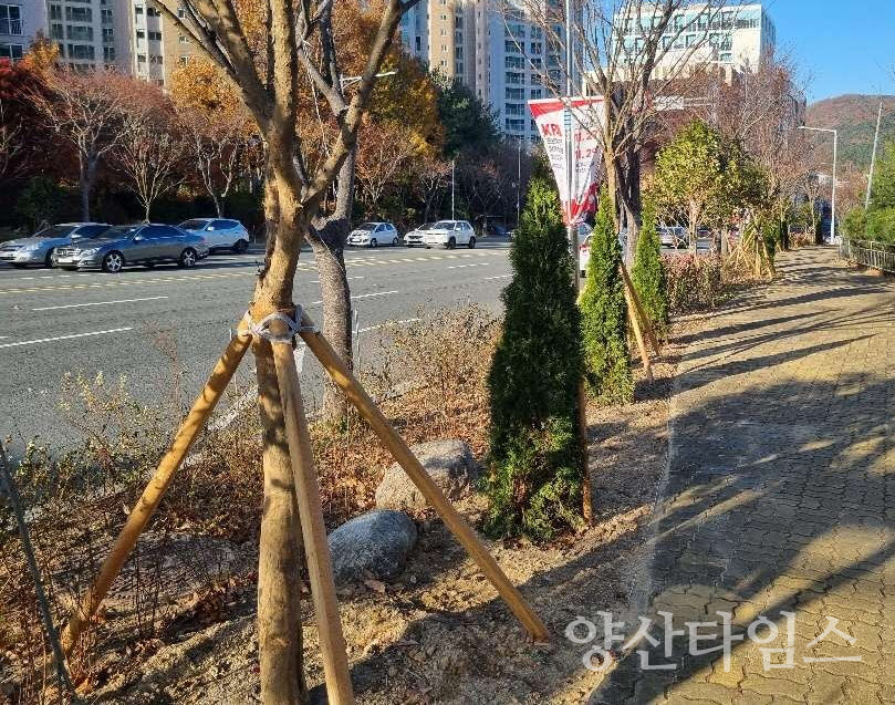 기장군 정관신도시 도시바람길숲 조성 현장ⓒ양산타임스