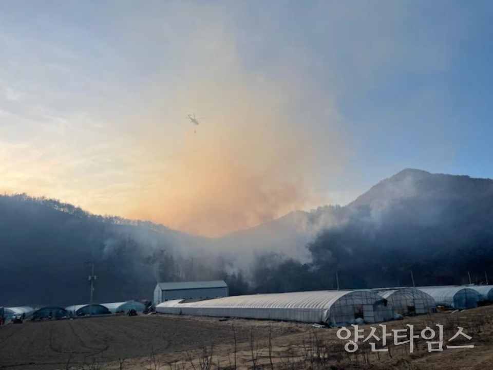 양산 원동면 용당리 산불 총력 대응ⓒ양산타임스